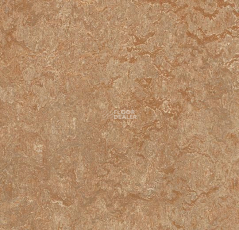 Forbo Marmoleum Marbled Real 3233 Shitake фото 1 | FLOORDEALER